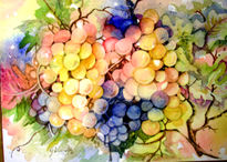 Uvas