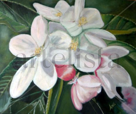 F05  Flor de...