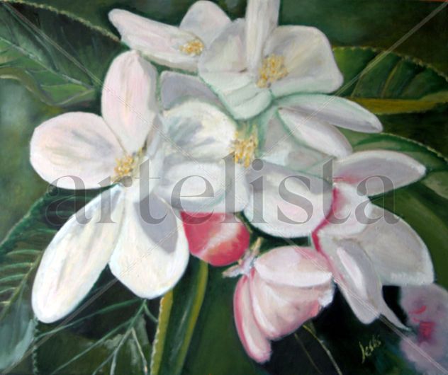 F05  Flor de manzano (2012)