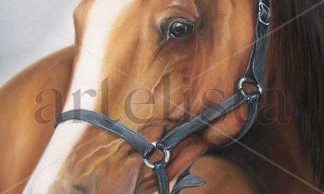 CABALLOS