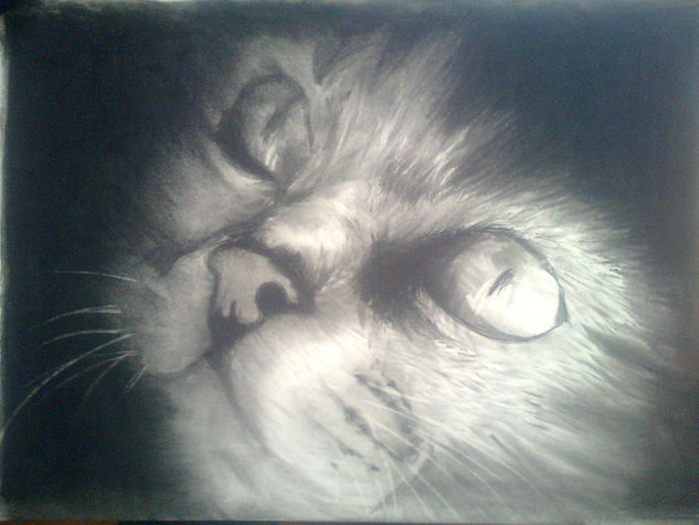 Mirada Charcoal