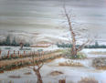 PAISAJE NEVADO