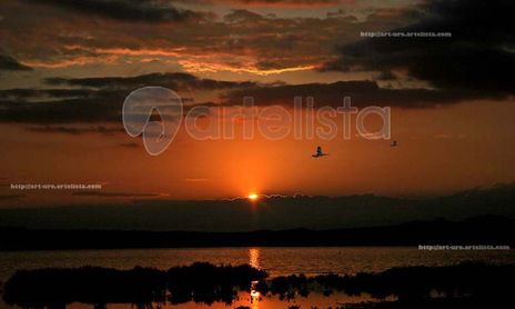 AMANECERES Y ATARDECERES