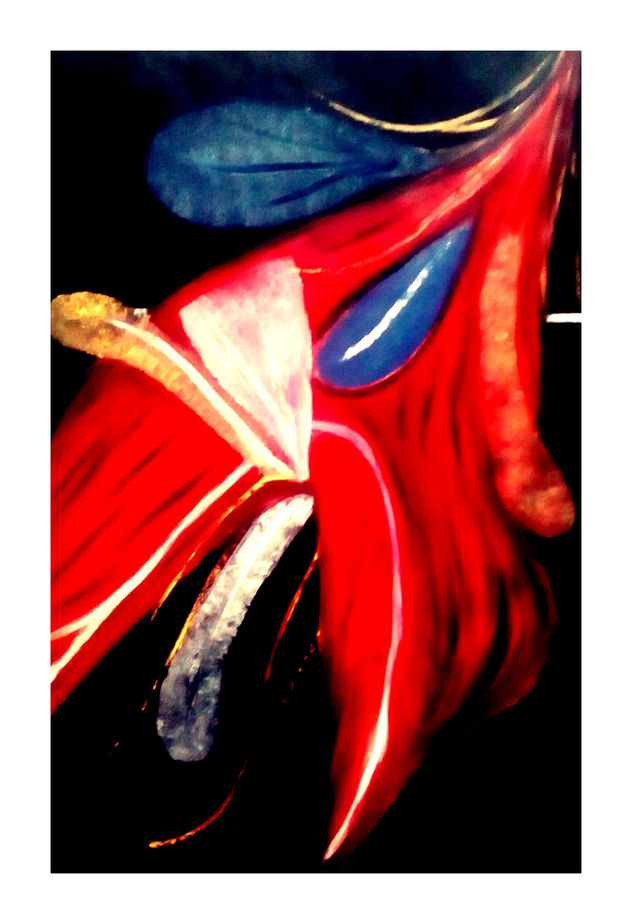 ROJO0019