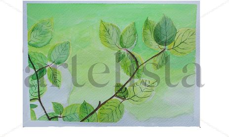 acuarelas