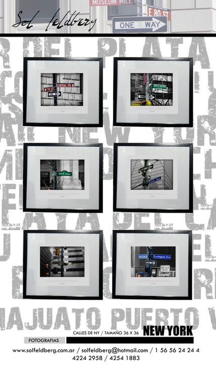 Catalogo