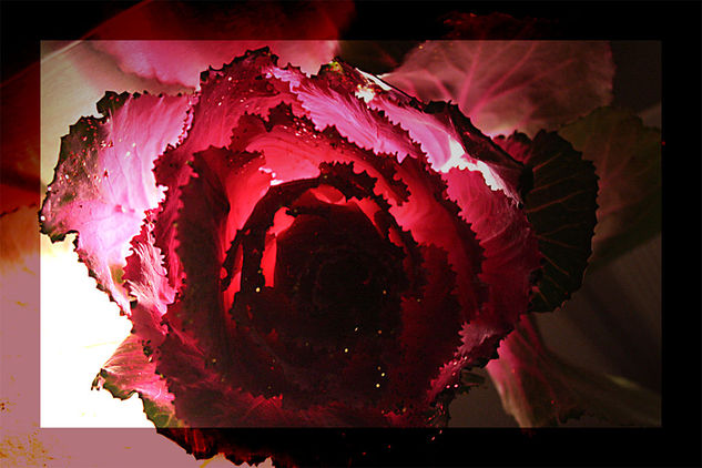 Floralia... Publicidad y moda Color (Digital)