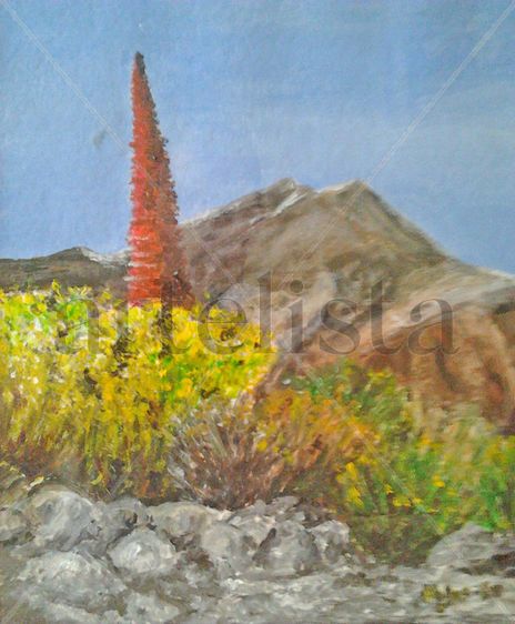 Taginaste del teide