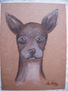 Chihuahueño chihuahuense