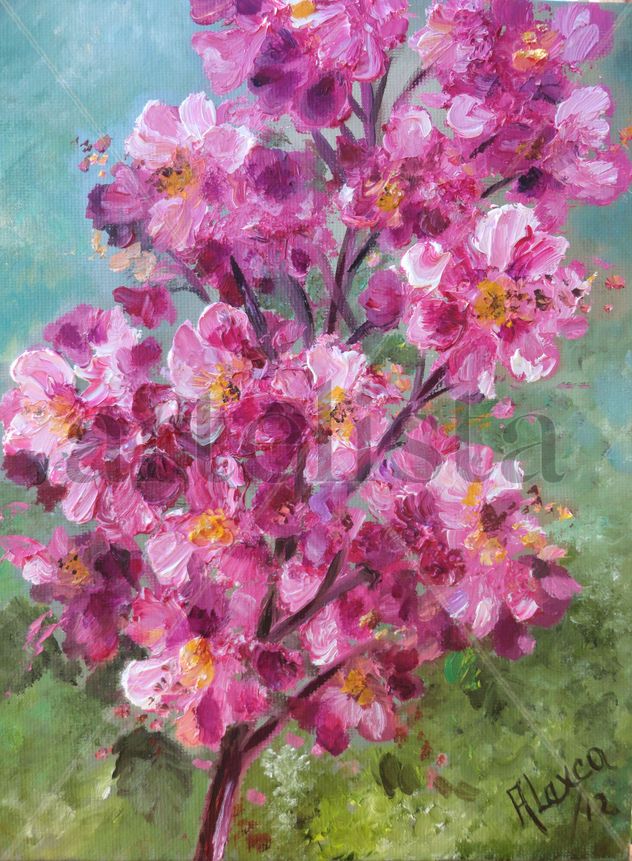 Pink blossoms