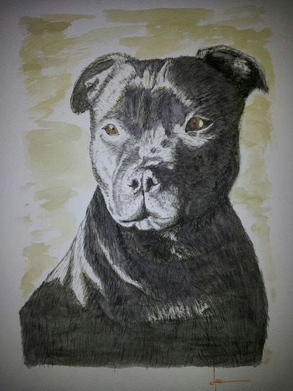 Retrato de perro Watercolour Paper Animals