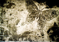 Mariposa