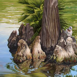 Paisajes thumbnail 2