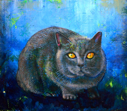 Gato gris