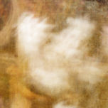Precipitaciones thumbnail 1