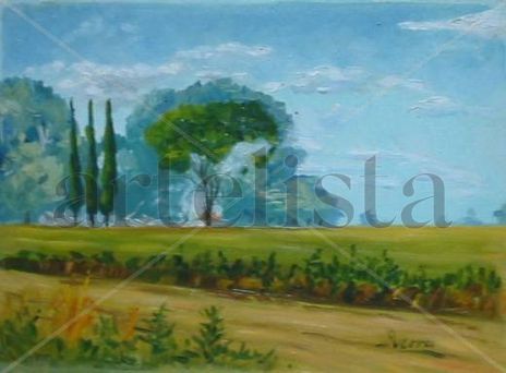 Campo