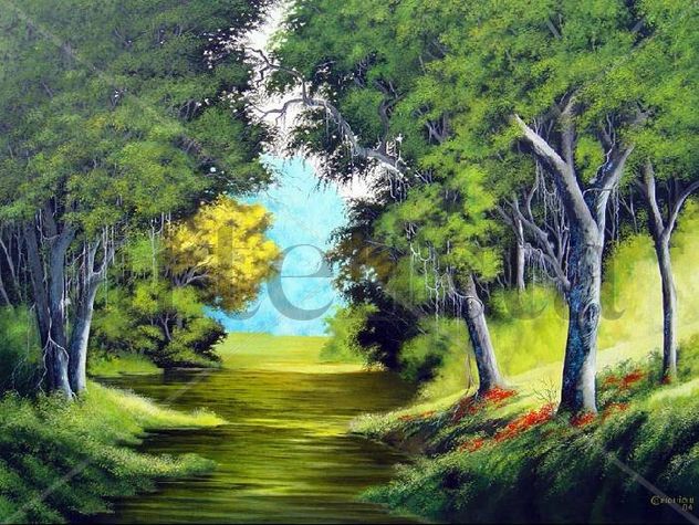 riacho na floresta