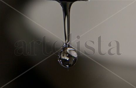 La gota