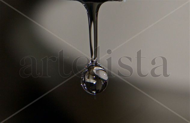 La gota