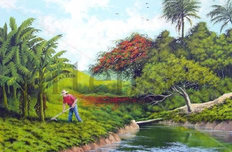 vida rural II