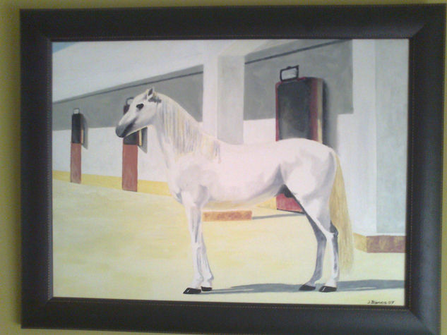 S. Oil Canvas Animals