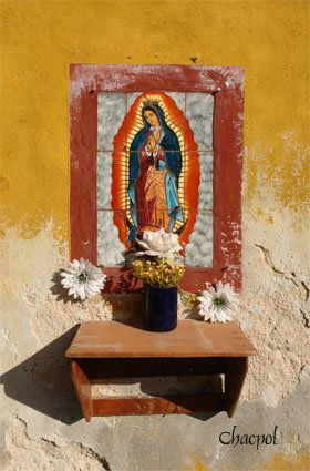 Guadalupe 011 Other Themes Color (Digital)