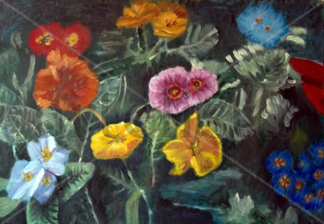 F06 Estudio floral...