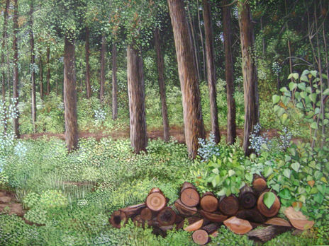 Bosque tibasosa
