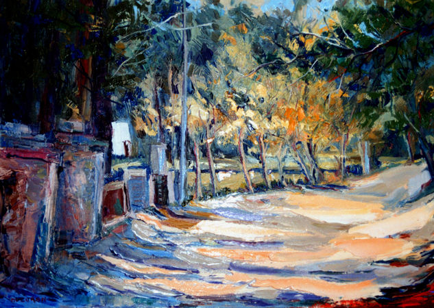 Calle de Achiras. Córdoba Oil Canvas Landscaping