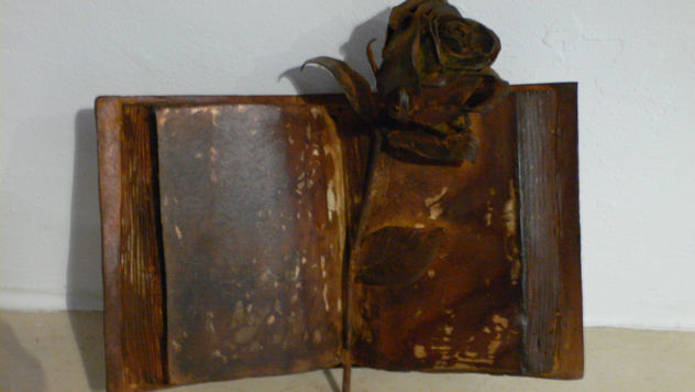 el Libro y la Rosa SanT Jordi