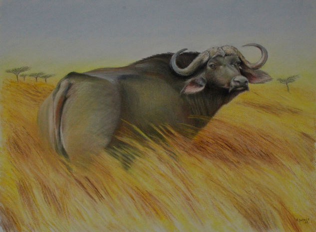 Bufalo Cafre Pastel Paper Animals