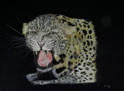 La noche del leopardo