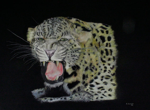 La noche del leopardo Pastel Paper Animals