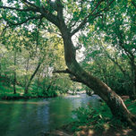 Galicia - Costa da morte thumbnail 2
