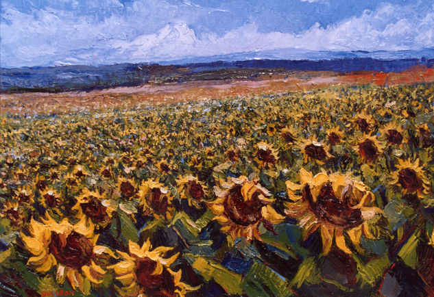 Campo de girasoles Oil Canvas Landscaping