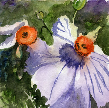 Flor4