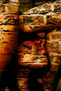 muro humano