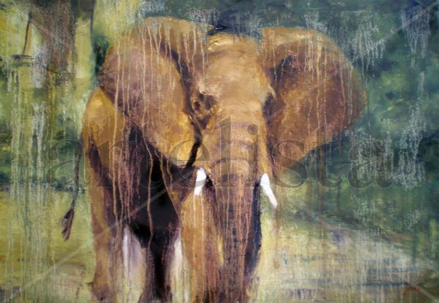 Llanto de elefante Oil Canvas Animals