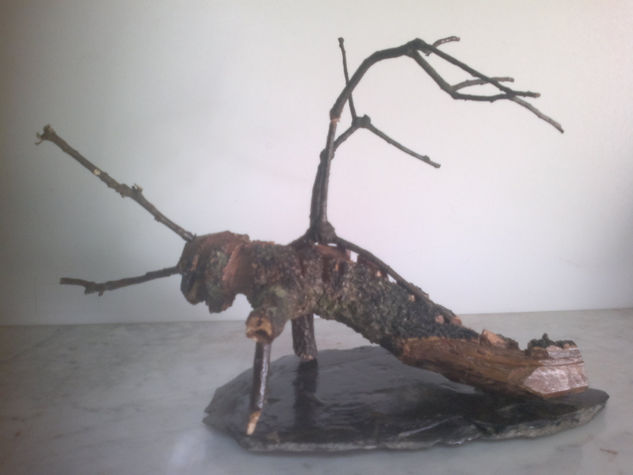 cigarra Wood Figurative