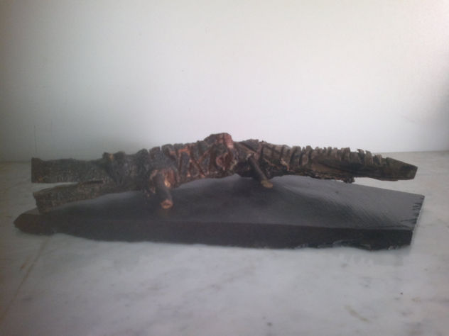 cocodrilo