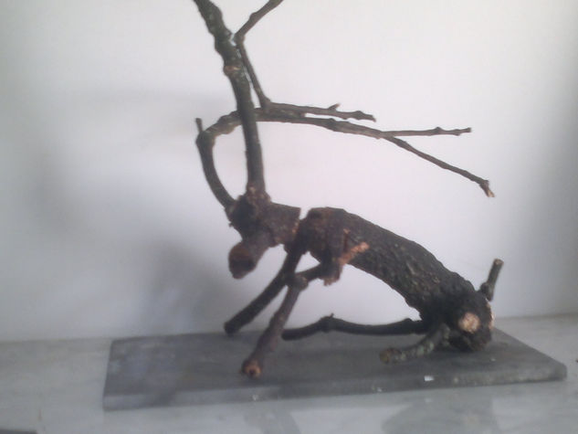 ciervo Wood Figurative