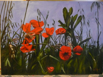 Amapolas