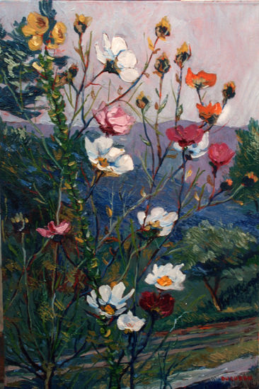 Cosmos de las sierras Oil Canvas Floral Painting