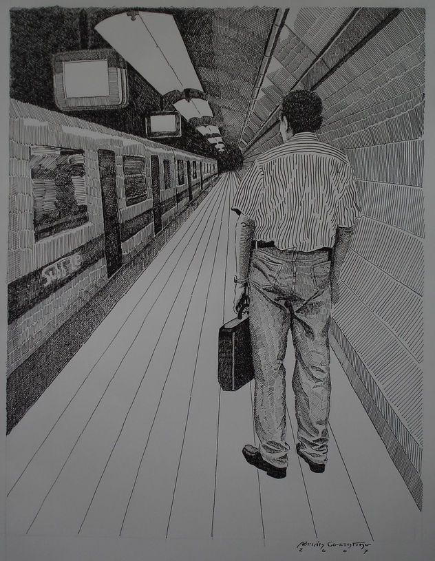 melancolia de un usuario de metrovias