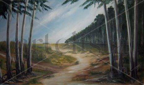 Imaginario1