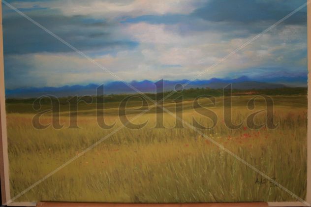 Campos de Boadilla