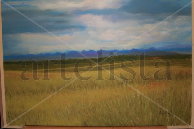 Campos de Boadilla Pastel Papel Paisaje