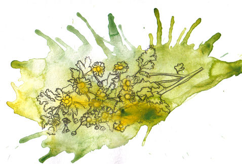 flores para chicos VIII Watercolour Paper Floral Painting