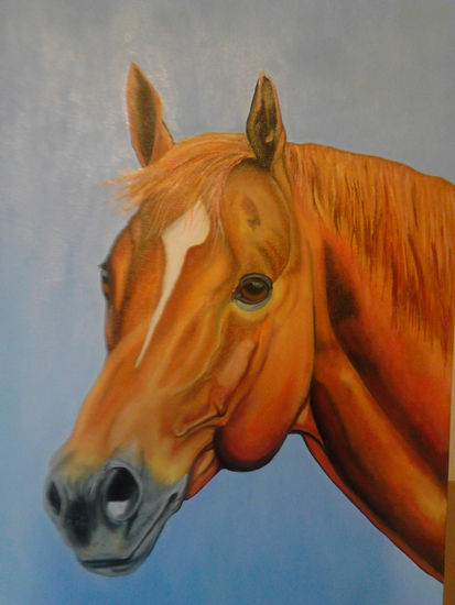 cabeza de caballo Oil Canvas Others