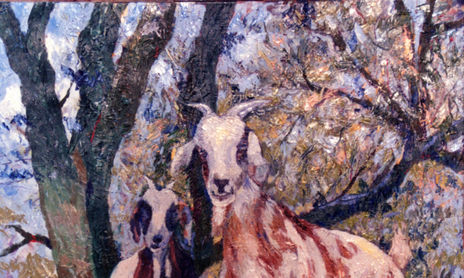 Animales